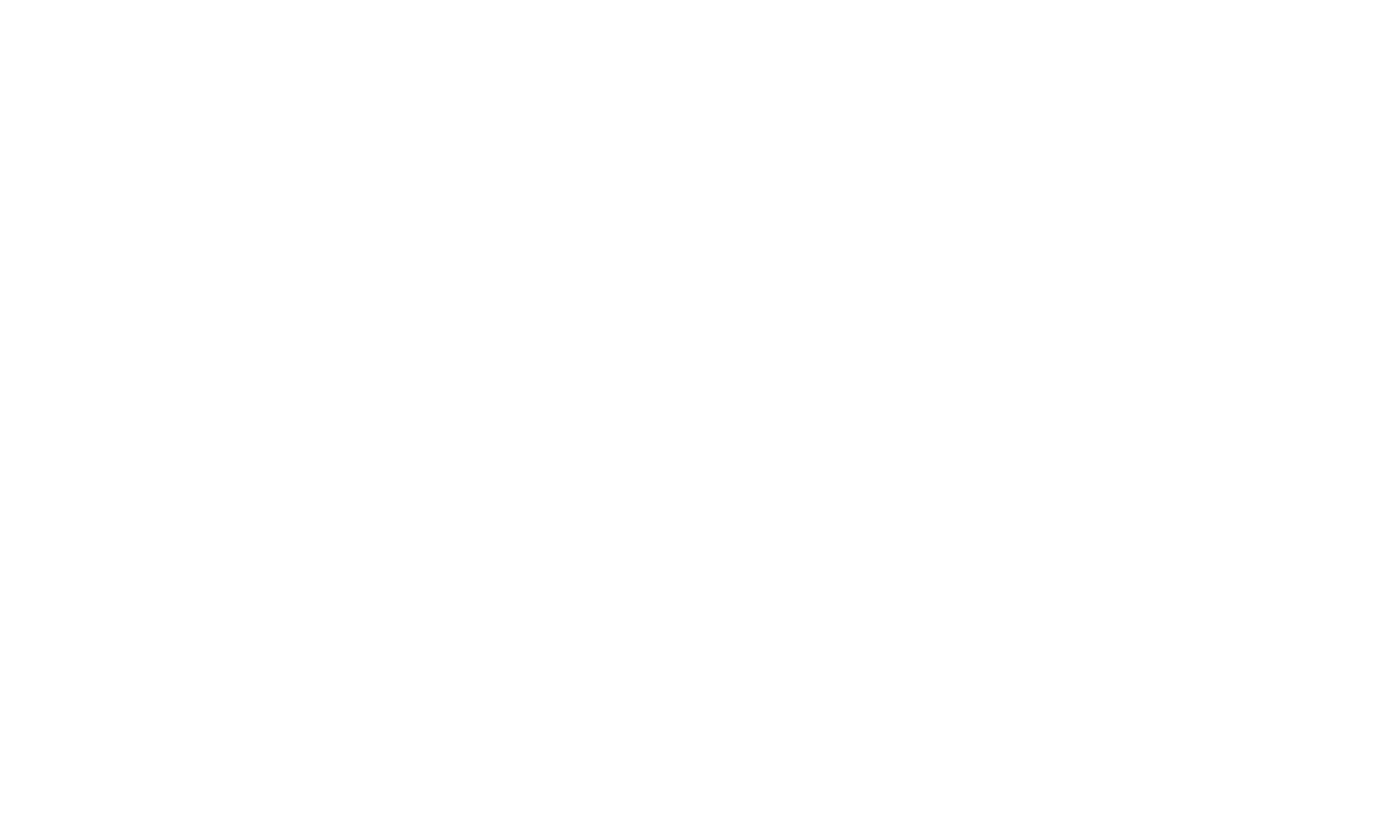 Simplify Systems Logo